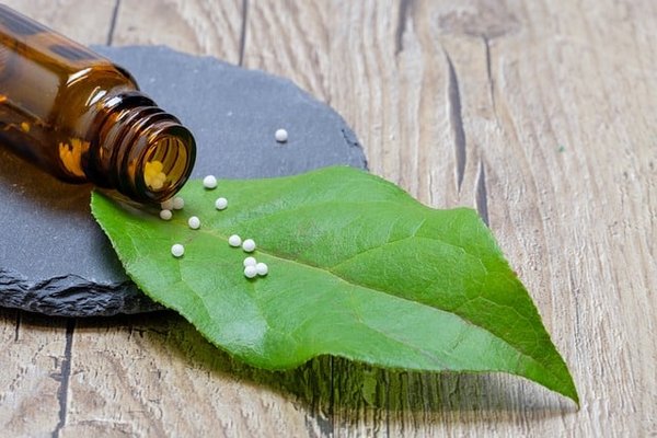 Les Fondements de la Naturopathie : Santé Holistique à Votre Portée